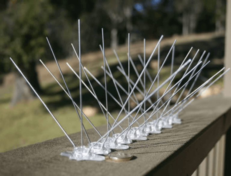 birdspikes