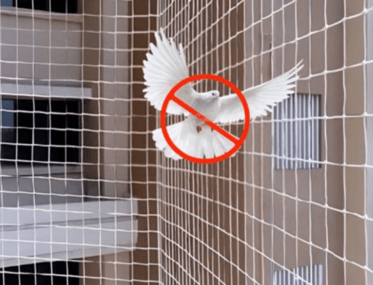 pigeonsafetynets